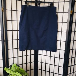 Professional Pencil Skirt (w/Stretch)